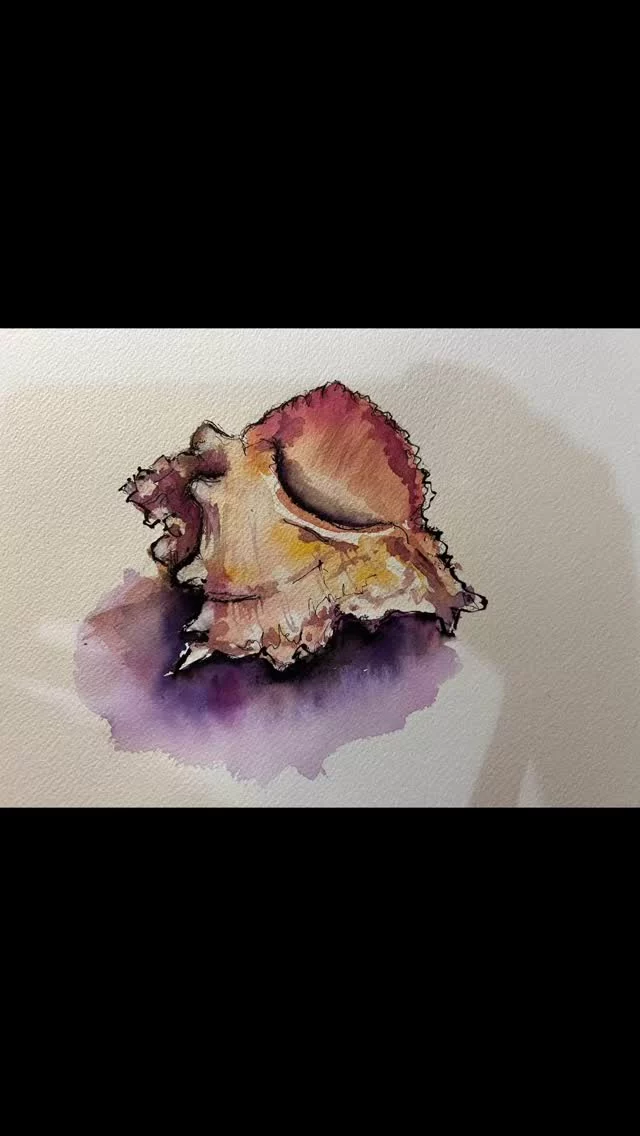 La vie secrète des coquillages, entre mer et terre. Aquarelle sur  papier  300gr Arches format 24x30cm , technique mixte.
#coquillage#mer#mermediterranee #aquarelle #watercolor#vieinspirante #poesie#gratitude